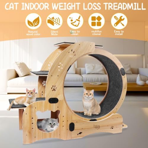 Silent Cat Exercise Wheel for Indoor Cat Treadmill Running Wheel Toy with Non-Slip Base, 6-in-1 Multi-Functional Large