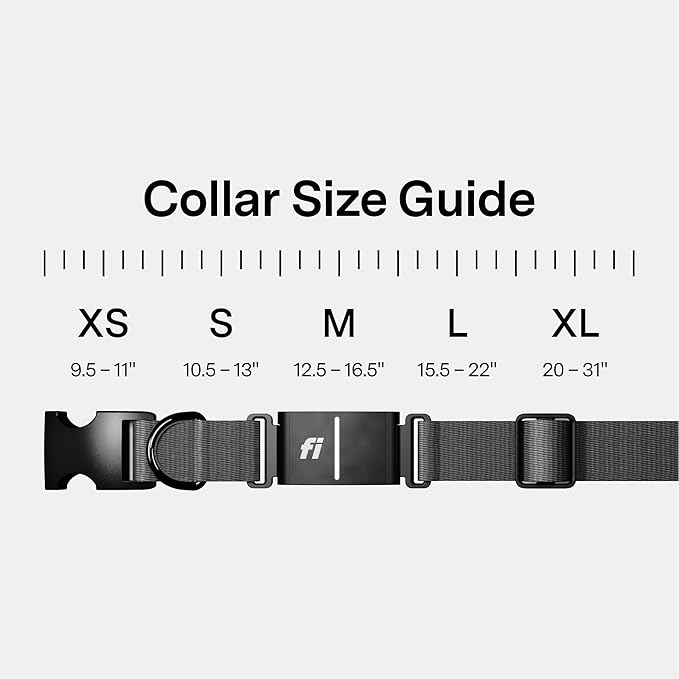 Fi New Series 3+ Smart Dog Tracker Collar [6 Month Membership Included] GPS Tracker for Dogs with Health & Behavior Monitoring, Escape Alerts, Waterproof, LED, Apple Watch Compatible (Gray, Large)