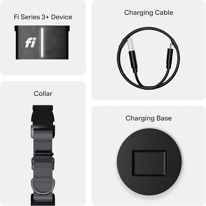 Fi New Series 3+ Smart Dog Tracker Collar [6 Month Membership Included] GPS Tracker for Dogs with Health & Behavior Monitoring, Escape Alerts, Waterproof, LED, Apple Watch Compatible (Gray, Large)