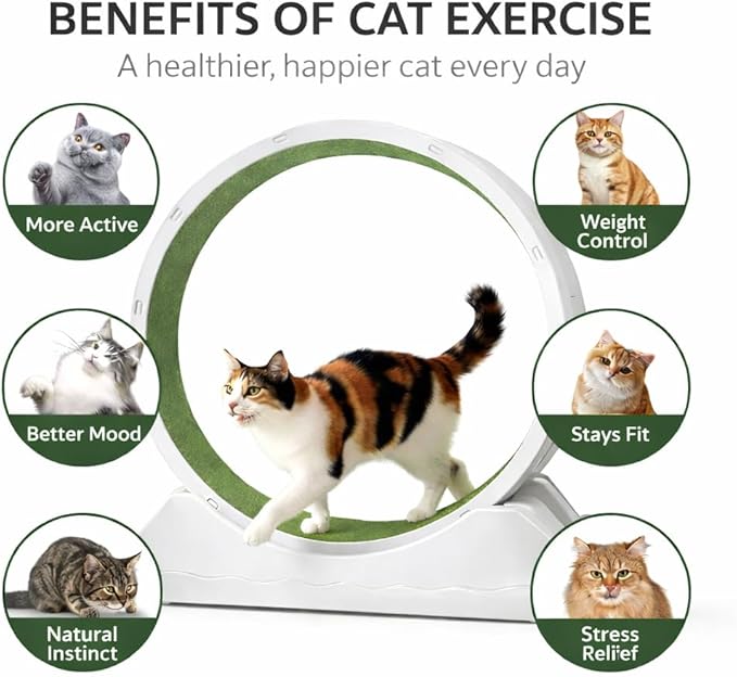Cat Exercise Wheel for Indoor Cats, 33.5" Compact Small Cat Treadmill — Quiet Running Wheel with Grass Carpet Runway, Space-Saving Design & Safety Lock for Small to Medium Cats Weight Loss-Gray