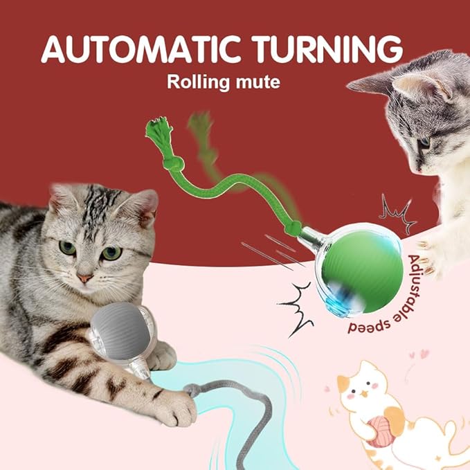2026 New Interactive Cat Toys for Indoor Cats, Kitten Toys to Relieve Boredom for Indoor Cats (Green)