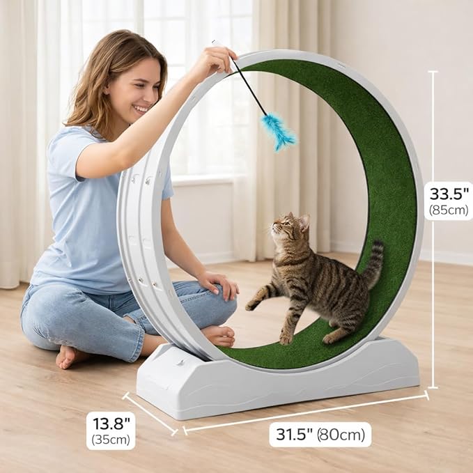 Cat Exercise Wheel for Indoor Cats, 33.5" Compact Small Cat Treadmill — Quiet Running Wheel with Grass Carpet Runway, Space-Saving Design & Safety Lock for Small to Medium Cats Weight Loss-Gray