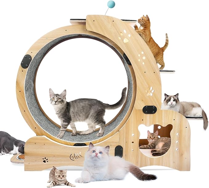 Silent Cat Exercise Wheel for Indoor Cat Treadmill Running Wheel Toy with Non-Slip Base, 6-in-1 Multi-Functional Large