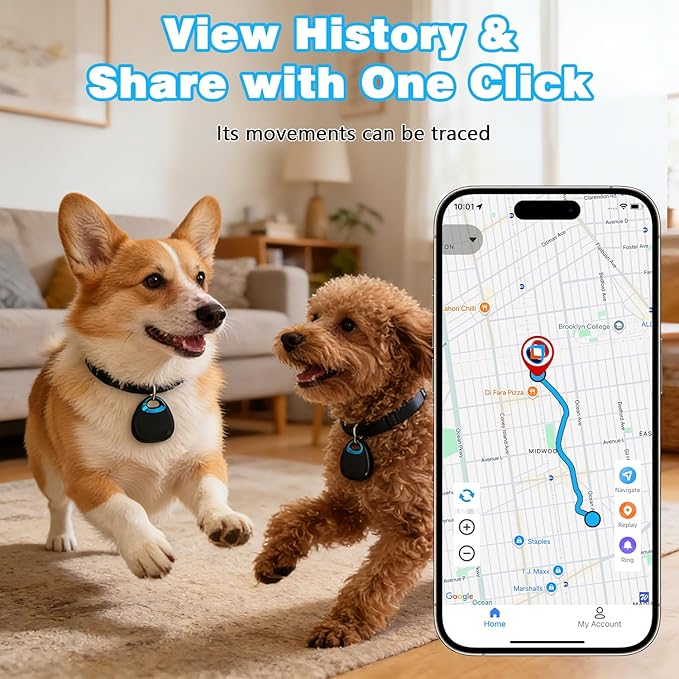 GPS Tracker for Dogs & Cats – Waterproof, Lightweight, Mini Real-Time Pet Locator with 1-Year Battery, No Subscription or SIM Required, Track History, iOS & Android Compatible Now 2026