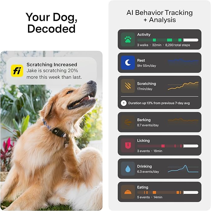 Fi New Series 3+ Smart Dog Tracker Collar [6 Month Membership Included] GPS Tracker for Dogs with Health & Behavior Monitoring, Escape Alerts, Waterproof, LED, Apple Watch Compatible (Gray, Large)