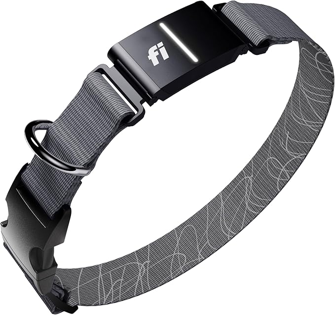 Fi New Series 3+ Smart Dog Tracker Collar [6 Month Membership Included] GPS Tracker for Dogs with Health & Behavior Monitoring, Escape Alerts, Waterproof, LED, Apple Watch Compatible (Gray, Large)