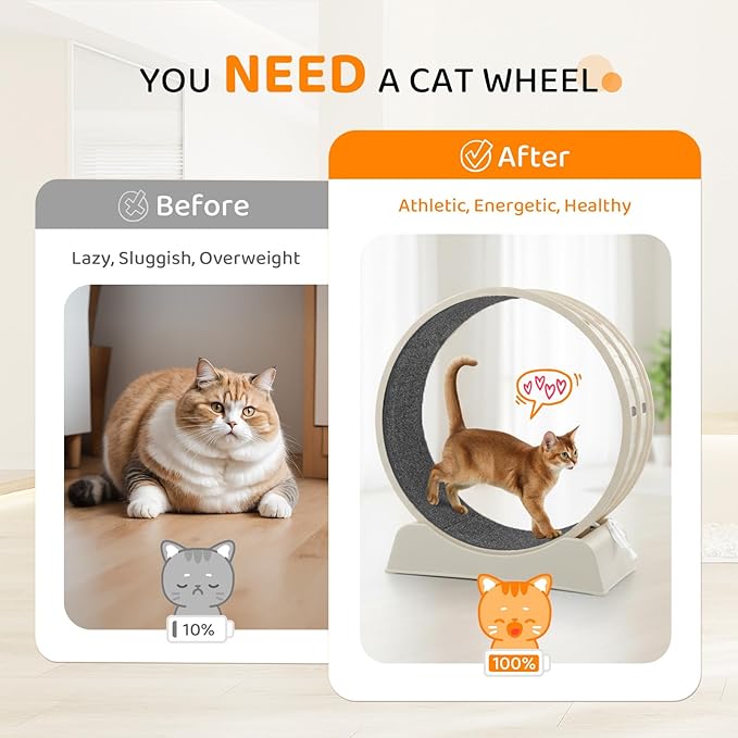 VINGLI Cat Exercise Wheel, 31" Cat Treadmill for Indoor Cats, Cat Running Wheel with Carpeted Runway for Weight Loss & Daily Exercise (Off-White)