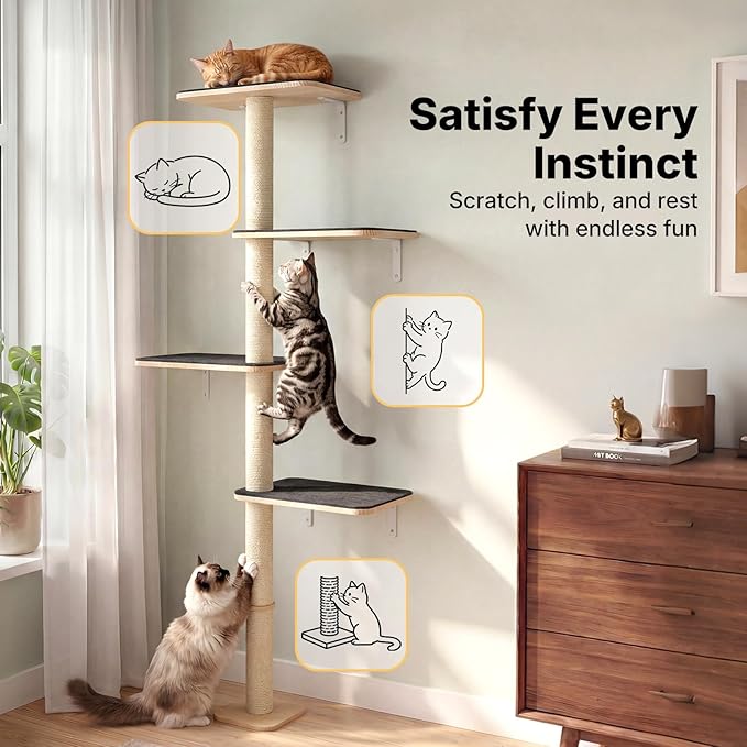 Veehoo Wall Mounted Cat Tree for Large Cats, 66" Tall Cat Wall Climber with Large Perches and Non-Slip Carpet, Cats Wall Shelves Furniture for Climb, Scratch, Lookout and Play