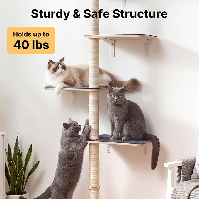 Veehoo Wall Mounted Cat Tree for Large Cats, 66" Tall Cat Wall Climber with Large Perches and Non-Slip Carpet, Cats Wall Shelves Furniture for Climb, Scratch, Lookout and Play
