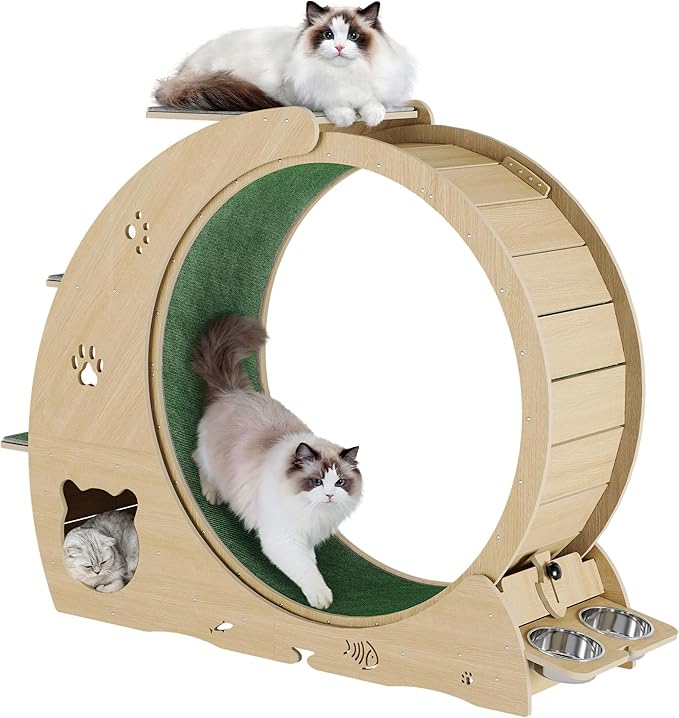 4-in-1 Indoor Cat Running Wheel, Large Quiet Running Wheel with Scratch Pad, Play Roller & Stable Wood Base for Active Cats