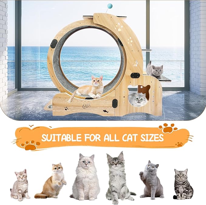 Silent Cat Exercise Wheel for Indoor Cat Treadmill Running Wheel Toy with Non-Slip Base, 6-in-1 Multi-Functional Large