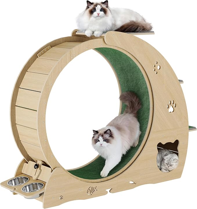 4-in-1 Indoor Cat Running Wheel, Large Quiet Running Wheel with Scratch Pad, Play Roller & Stable Wood Base for Active Cats